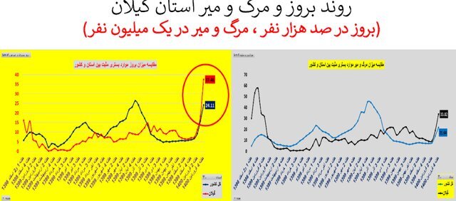 وضعیت نگران کننده شیوع تاج در 20 استان   نمودار