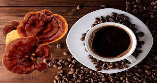بهترین زمان مصرف قهوه فوری موکا | پودر مخلوط قهوه فوری ۳در۱ حاوی عصاره قارچ گانودرما و پودر شکلات | خواص قهوه فوری موکا حاوی عصاره قارچ گانودرما و پودر شکلات