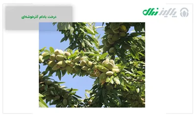 مجله کسب و کار