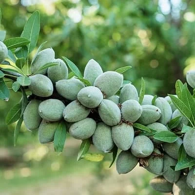 مجله کسب و کار