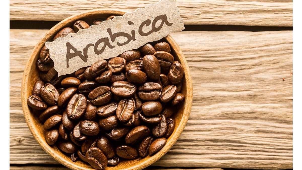انواع قهوه عربیکا | بهترین قهوه عربیکا | خرید پودر قهوه عربیکا