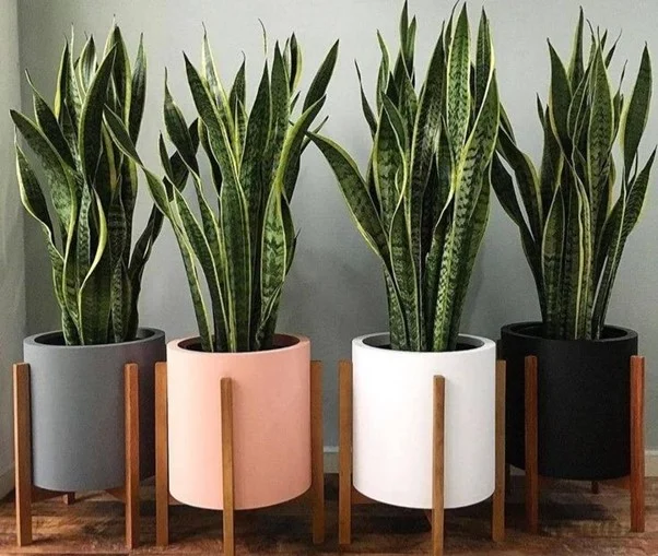 مجله کسب و کار