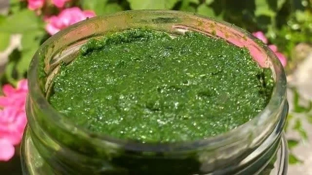 مجله کسب و کار