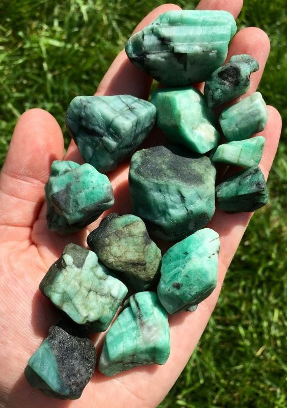مجله کسب و کار