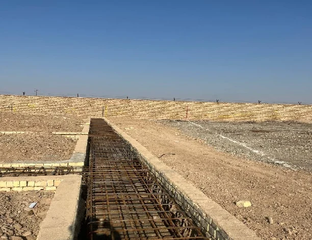 ایمنی