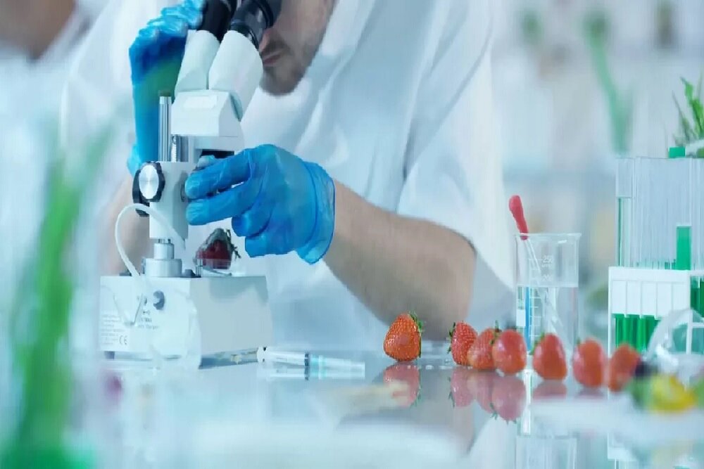 رقابت تیمهای فناور برای ارائه بهترین فرمولاسیون فرآوری محصولات غذایی