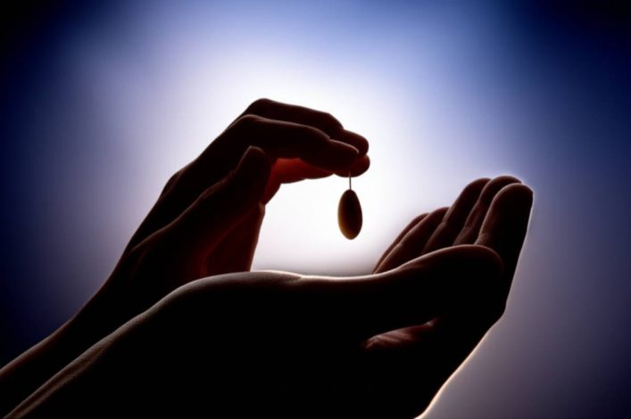 وکیل وکیل